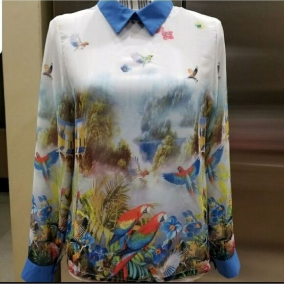 Beautiful sheer blouse size S - Picture 6 of 6